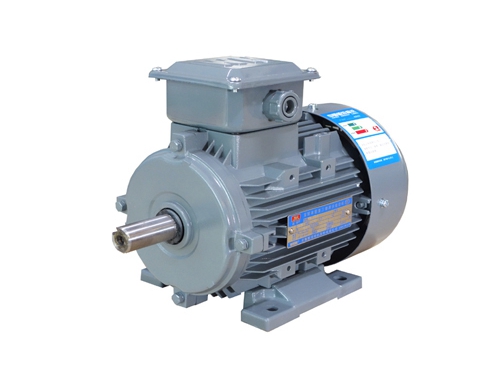 3 YXL系列(lie)高效率(lü)鋁機殼(ke)三相異(yì)步電動(dòng)機