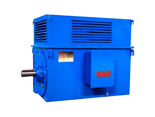 8 Y系列中型高(gao)壓高效電動機