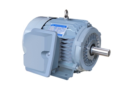 NE系列高效(xiào)高轉矩三相異步(bù)電動機