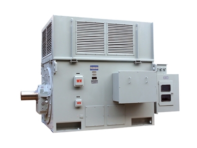 YR系列高壓三相異(yi)步電動機