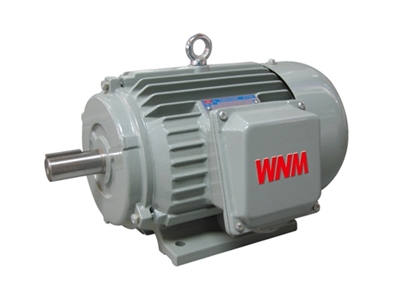 YJZ2系列機床(chuang)專用三相(xiàng)異步電動(dong)機