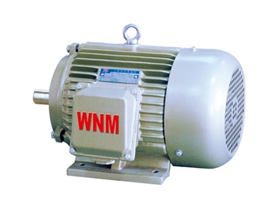 YD2系列(lie)變極多(duo)速三相(xiang)異步電(diàn)動機