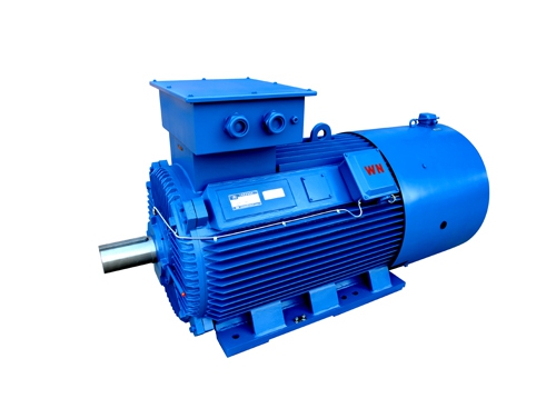 2 YLVF低壓大功(gōng)率變頻電(diàn)動機