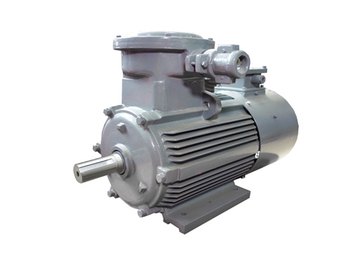 4 YBBP系列隔爆(bào)型變頻調速三(sān)相異步電動機(ji)