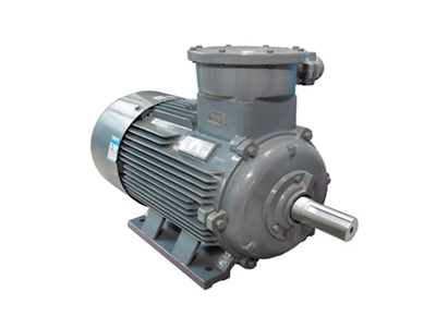 YB3系列隔爆型(xíng)三相異步電動機(jī)