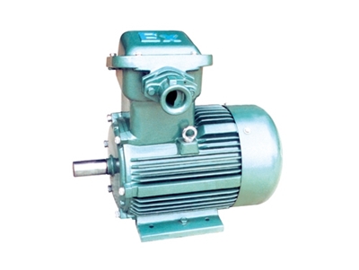 YFB系列粉塵防爆型(xing)三相異步電動機(ji)