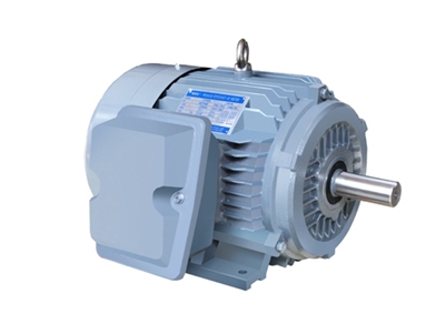 NE系(xi)列高效高(gāo)轉矩三相(xiang)異步電動(dòng)機