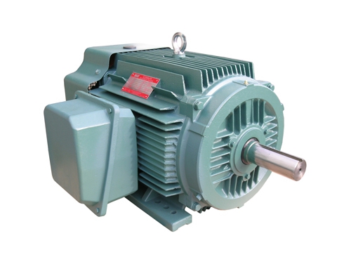 1 NEP系(xì)列超高(gao)效率三(sān)相異步(bu)電動機(ji)