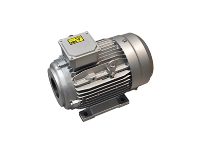 YYVF2系列新(xin)能源汽車(chē)助力轉向(xiàng)泵電機